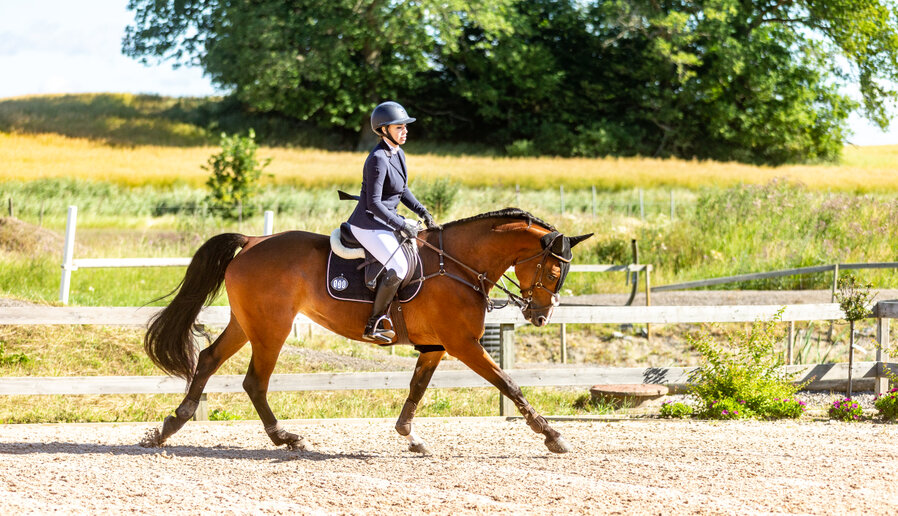 Travanalys i hage